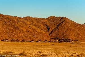 Namibia, A Road Trip - 6 - Sossusvlei, Dead Vlei-4